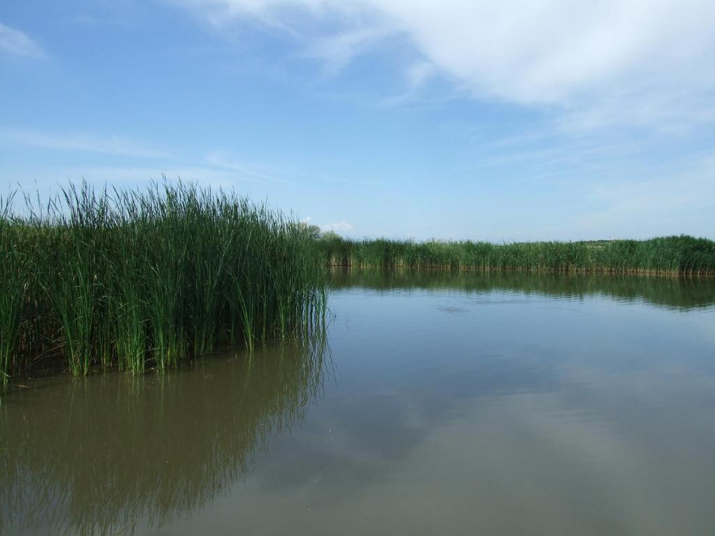 Ferienhaeuser Aura Sankt Andra am Zicksee Exterior photo